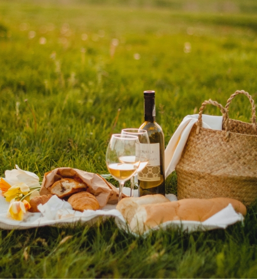 Piknik v naravi